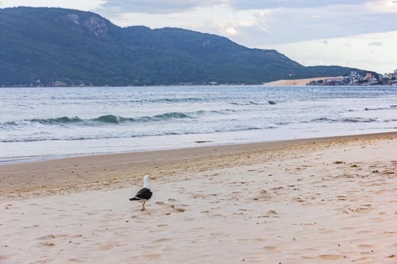 Cobertura Com Vista Mar Para 6 Hospedes, 150 Metros Da Praia Dos Ingleses Ing17 Florianópolis 외부 사진